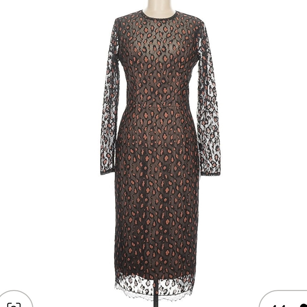 Dress the Population Black and Brown Lace Dress